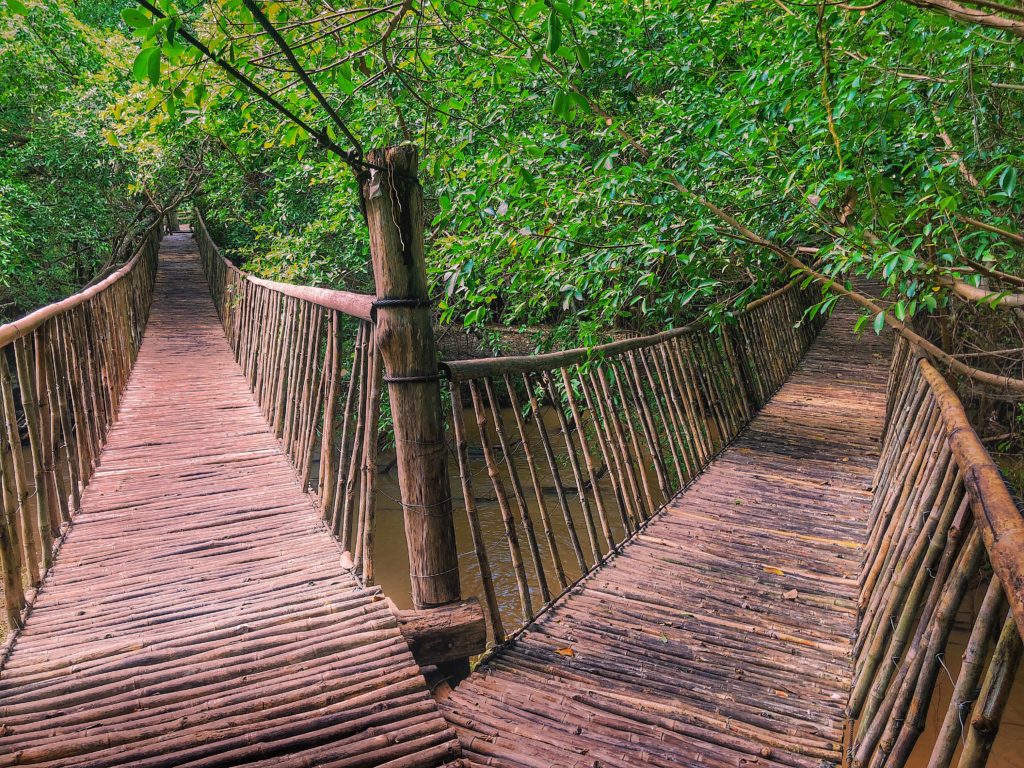 pair of bamboo bridges crossing river at ban don village